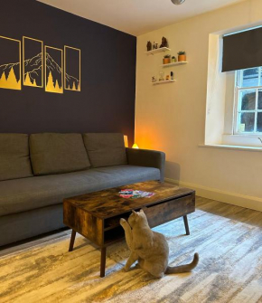 Entire Apartment in Dublin